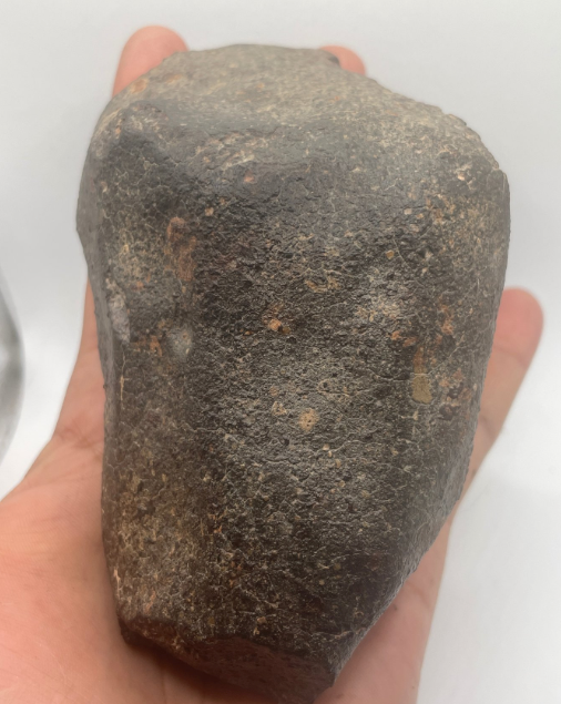 NWA 869 Chondrite Meteorite - 1038g L3-6 Brecciated Specimen with Certificate